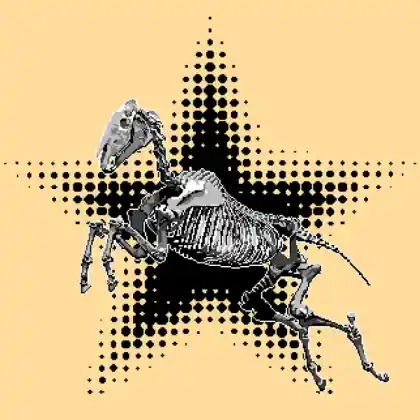 Foal variation 2