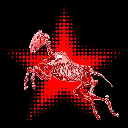 Foal variation 4