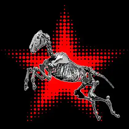 Foal variation 3