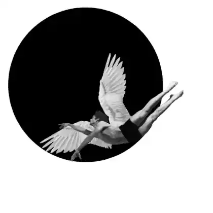 Icarus Falling variation 2