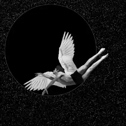 Icarus Falling by Madison Lee