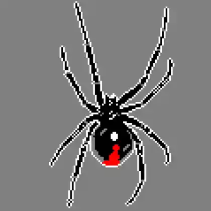 Latrodectus variation 2