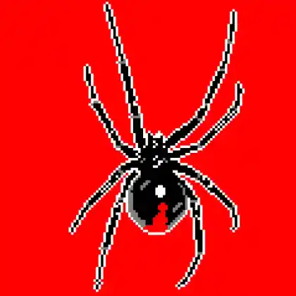 Latrodectus variation 3